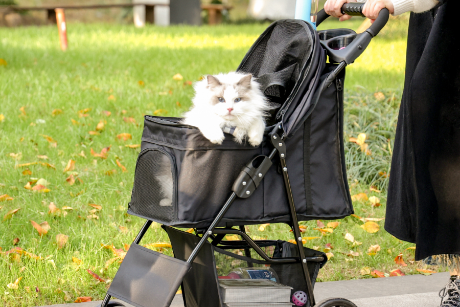 Compact pet stroller for travel