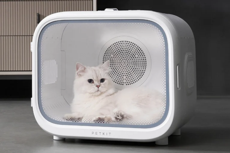 Dog drying machine for home