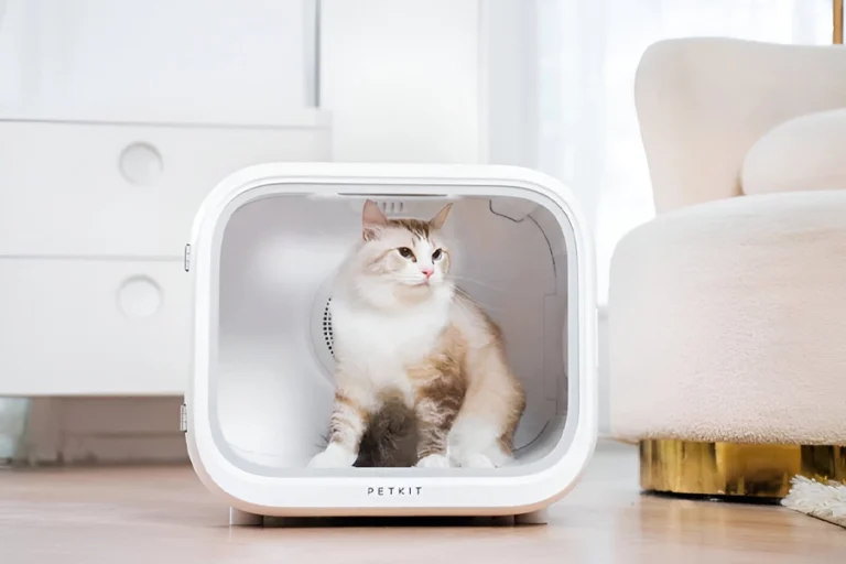 Dog drying machine for home