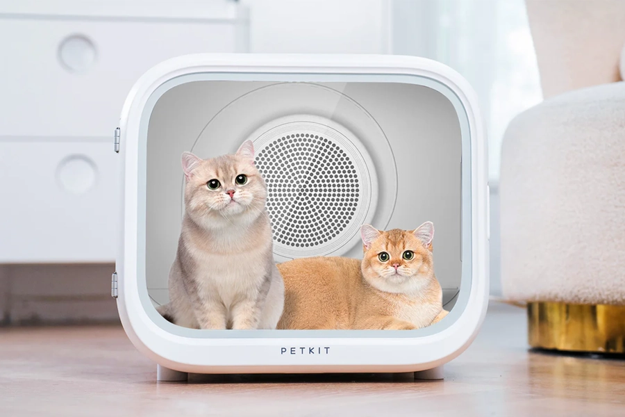 Portable pet dryer box